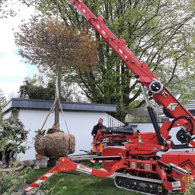 Baum mit dem Kran in die richtige Position bringen