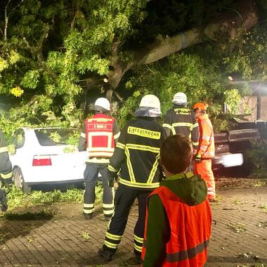 Baum liegt über mehreren PKW