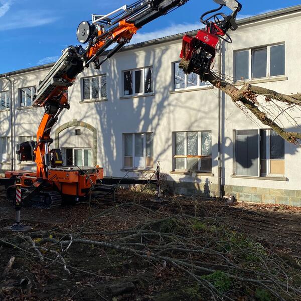 Stämme und Äste bis 50cm Durchmesser können gegriffen werden